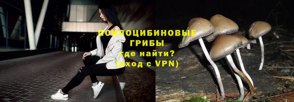 крисы Козельск
