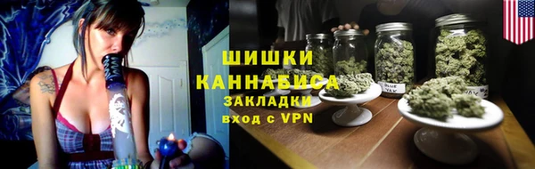 крисы Козельск
