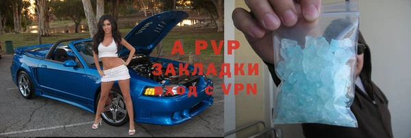 крисы Козельск