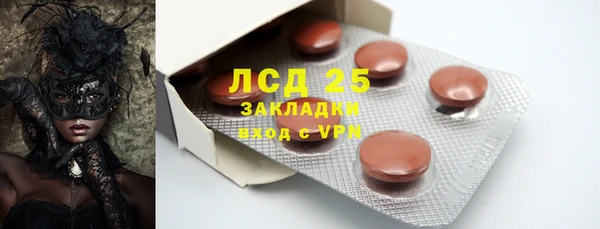 крисы Козельск