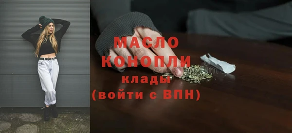 крисы Козельск