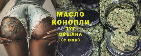 крисы Козельск