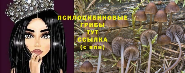 apvp Козловка