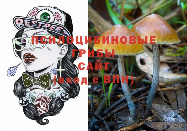apvp Козловка