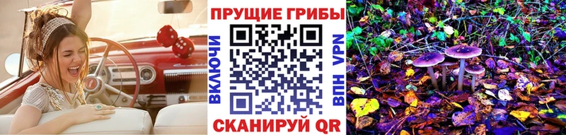 Купить закладки  Гусь-Хрустальный  Галлюциногенные грибы Psilocybe 